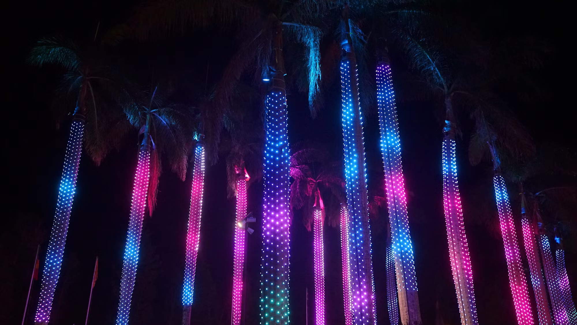 Exploring the Rhythm of Music Festivals: A Global Celebration of Sound